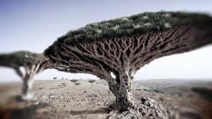 جزر غامضة صورة