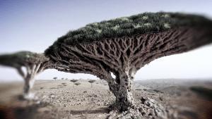 جزر غامضة صورة